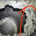 Treatment Method of Slag Hanging on Lining of Medium Frequency Furnace Ramming Material